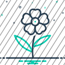 icon-img