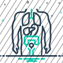 icon-img