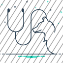 icon-img
