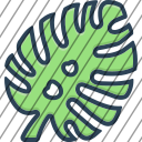 icon-img