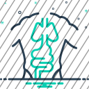 icon-img