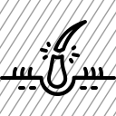 icon-img