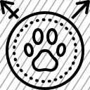 icon-img