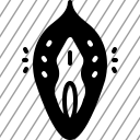 icon-img