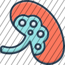icon-img