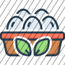 icon-img