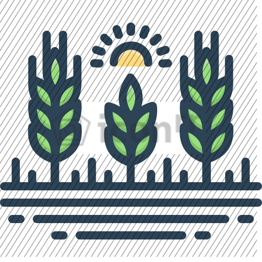 after-icon-128