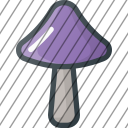 icon-img