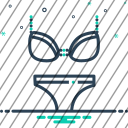 icon-img