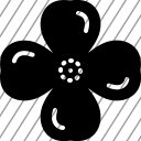 icon-img