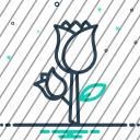 icon-img