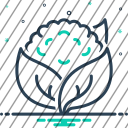 icon-img