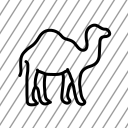 icon-img