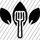 icon-img