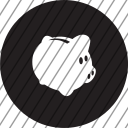 icon-img