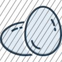 icon-img