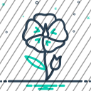 icon-img