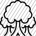 icon-img