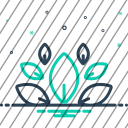 icon-img