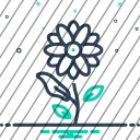 icon-img