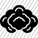 icon-img