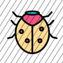 icon-img