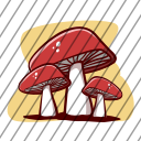 icon-img