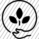 icon-img