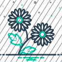 icon-img