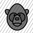 icon-img
