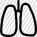 icon-img