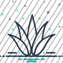 icon-img